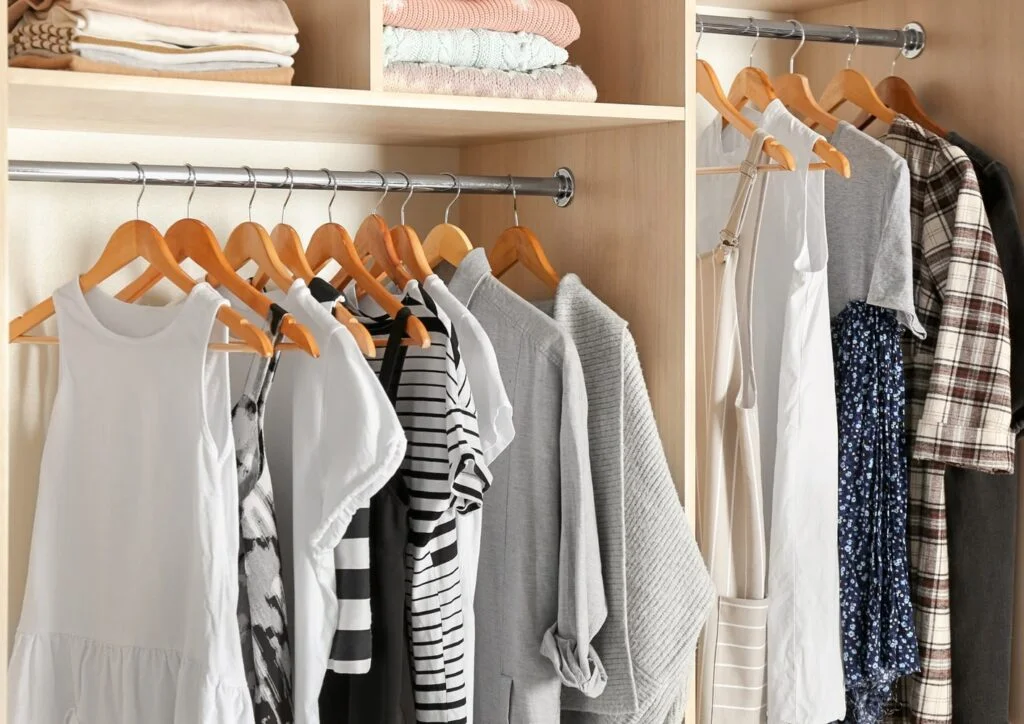 A wardrobe closet idea with cloth hangers and shelves