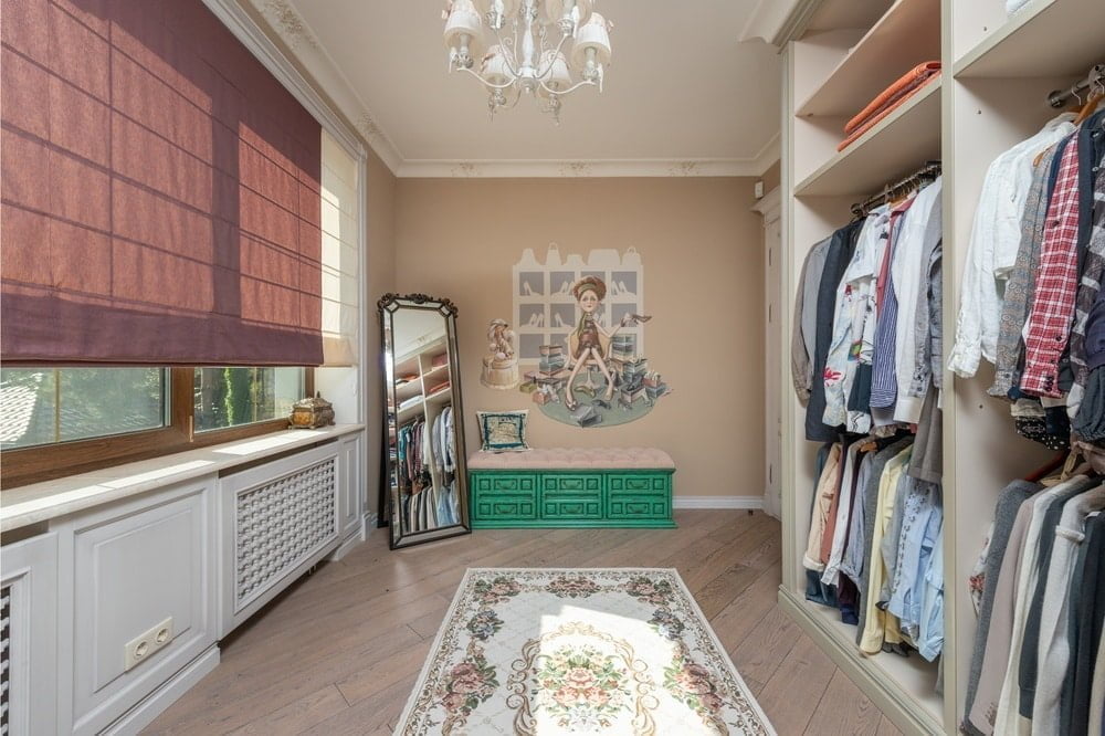 A room that has walk-in closet and mirror