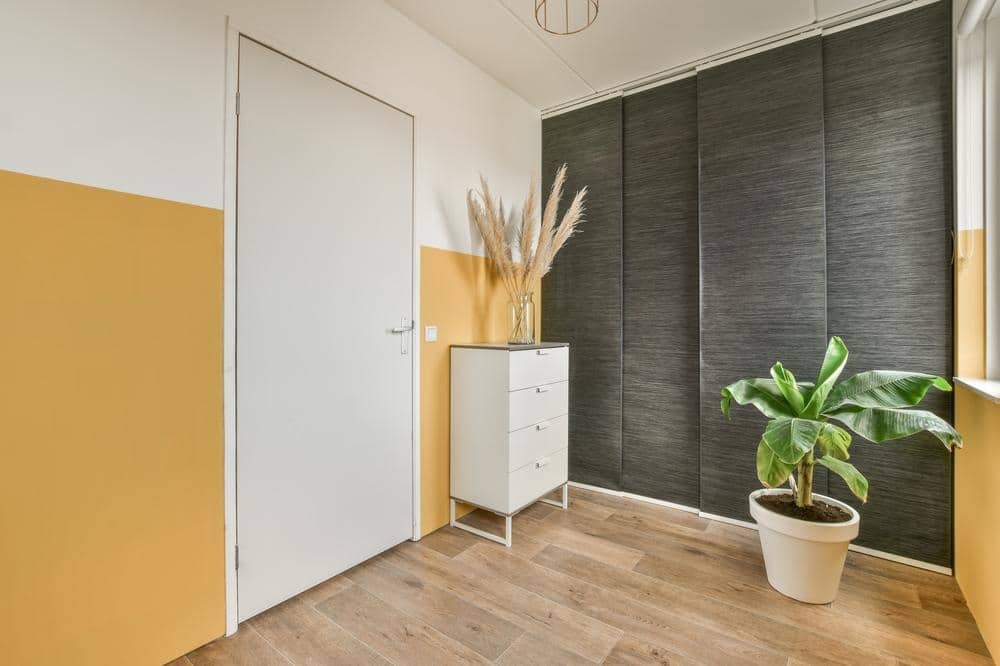 Wall closet with dark sliding doors next to a plant in a room