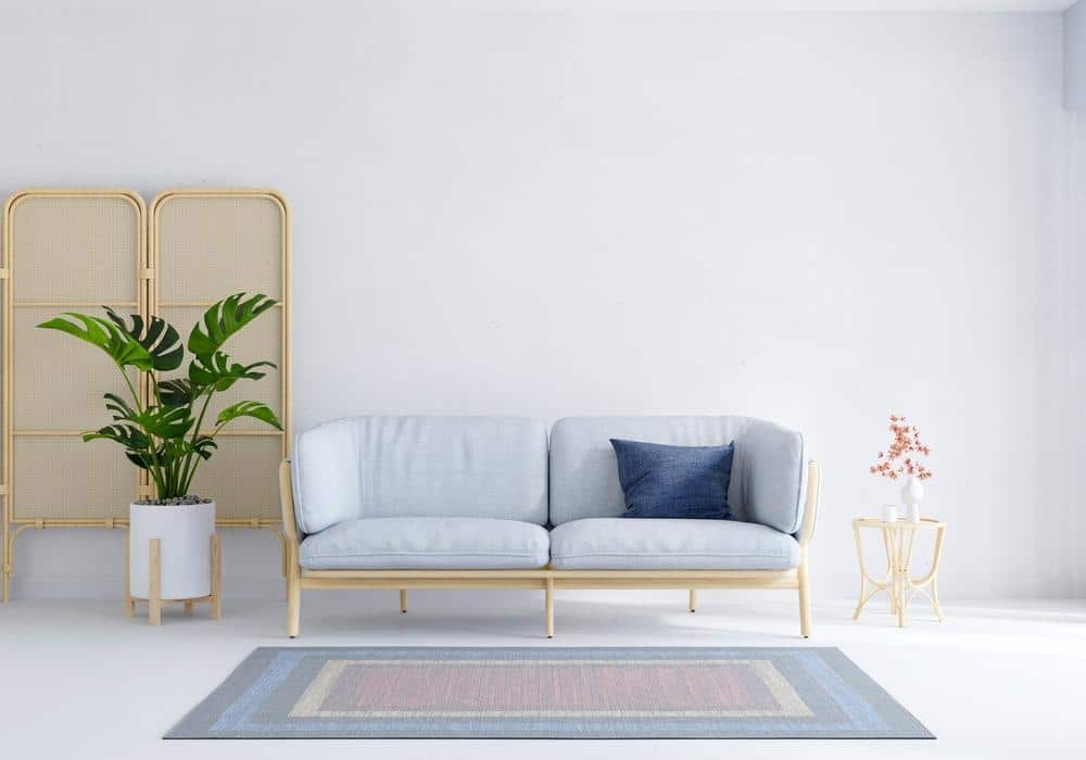 Simple design living room with a single couch behind a rug and a plant next to it