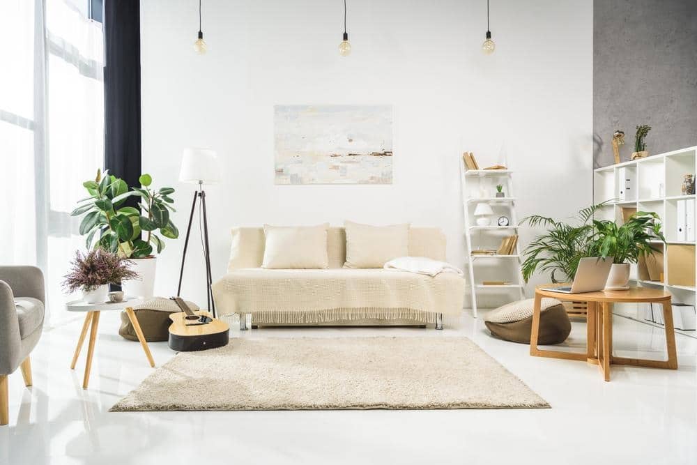 White simple living room with plants and a white rug