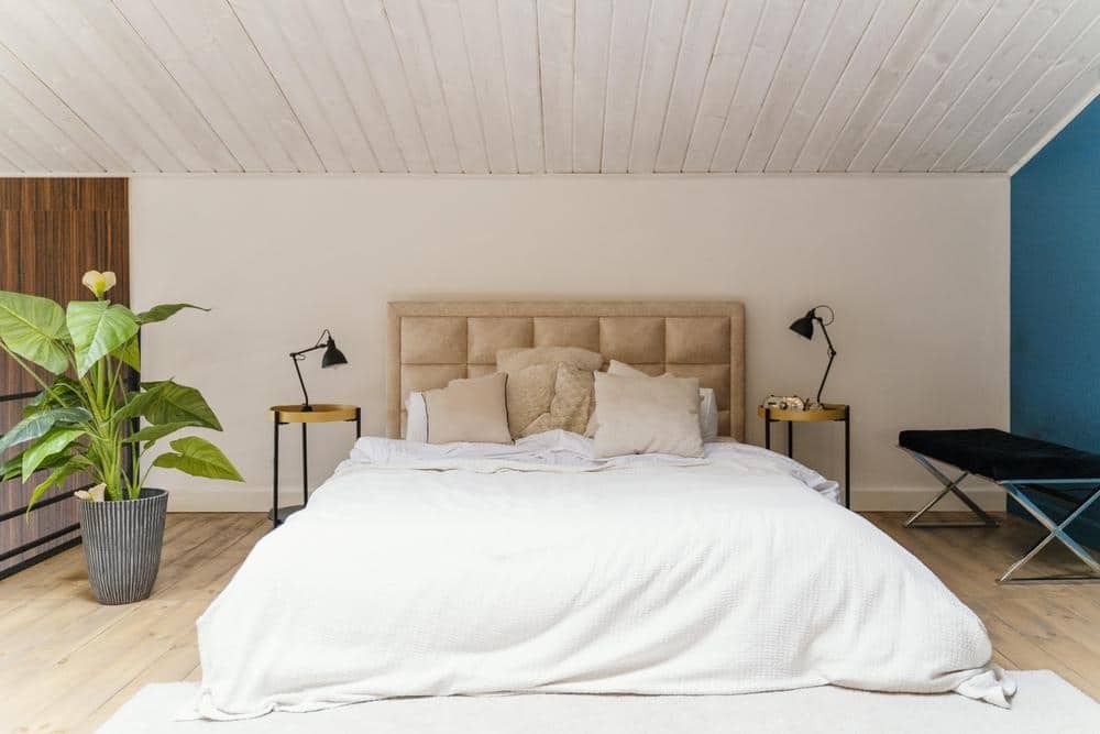 Simple bedroom with white sheeted bed and a plant next to the bed